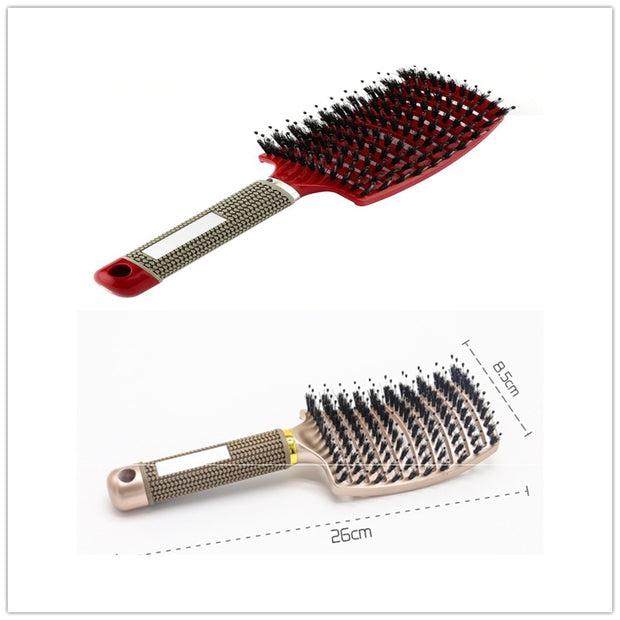 Detangler Hair Brush Scalp Massage Beautytoon